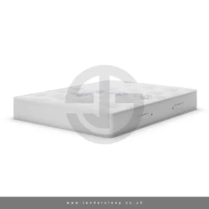 import placeholder for 2065